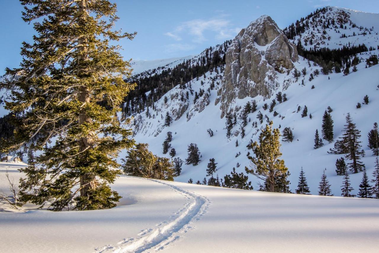Apartamento Woodlands 34 Mammoth Lakes Exterior foto